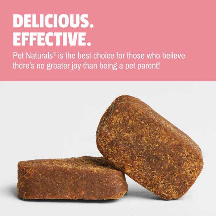 Daily Probiotic for Dogs R654087