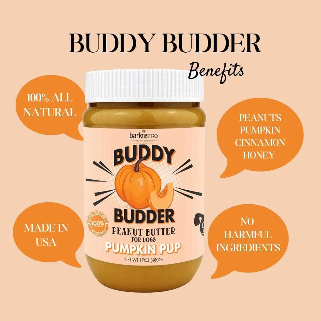 Pumpkin Pup Buddy Budder S6177