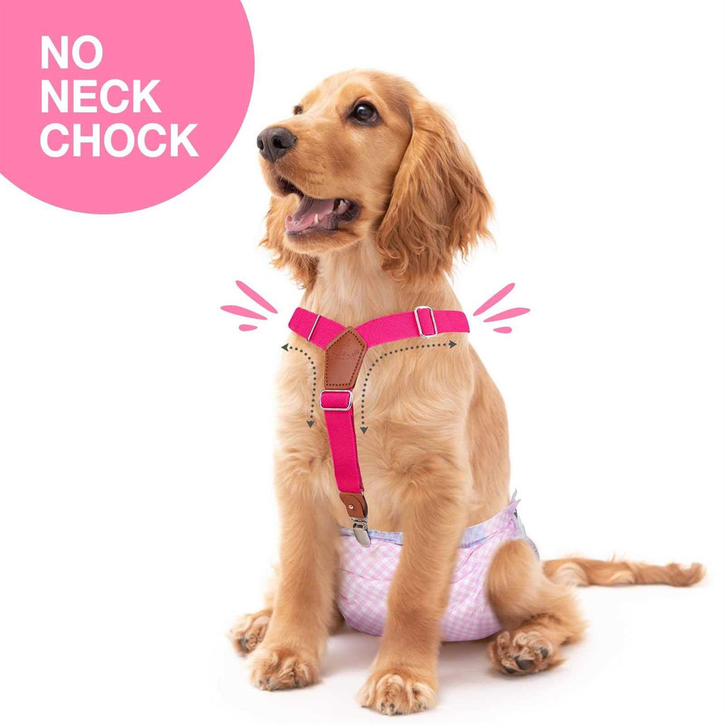 2 Pieces Dog Diaper Suspenders L32637