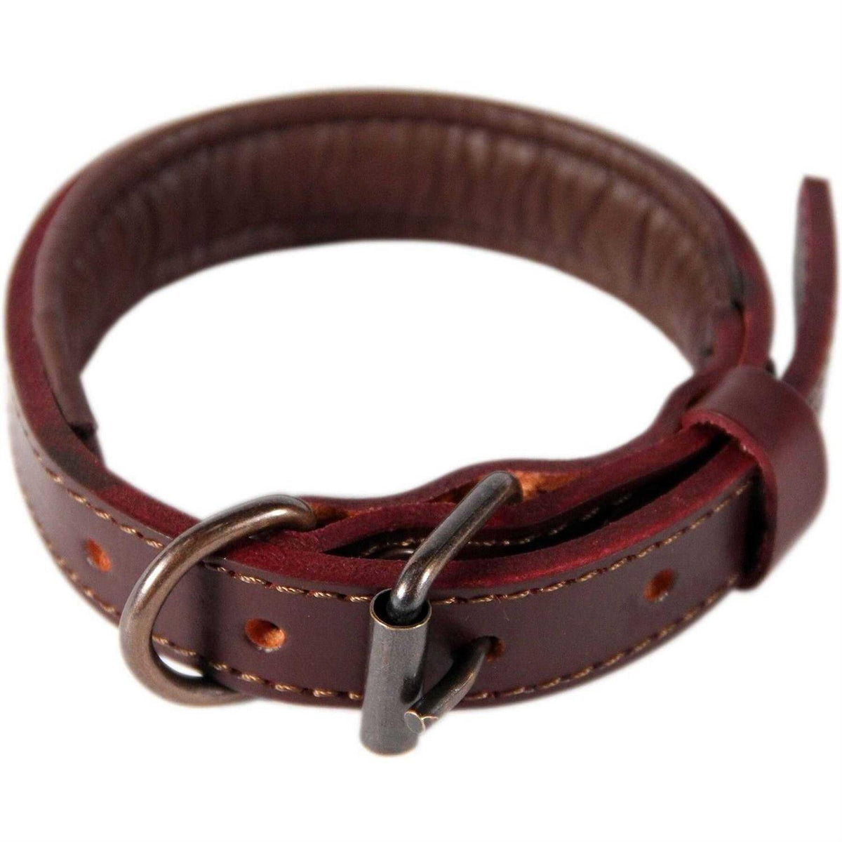 Padded Full Grain Genuine Leather Dog Collar H2414