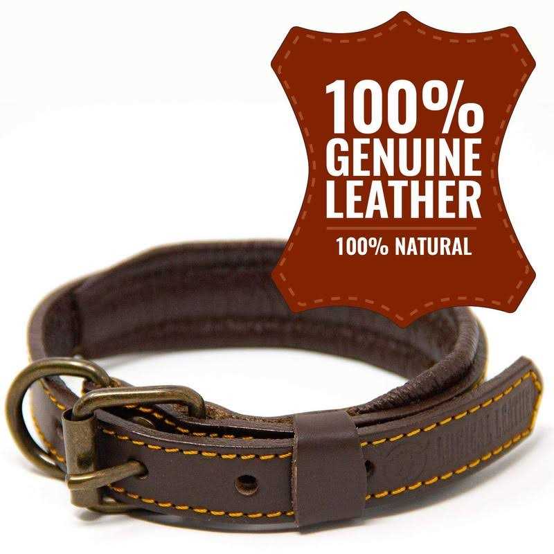 Padded Full Grain Genuine Leather Dog Collar H2414