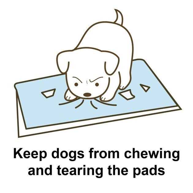 Potty Pad Tray H543558