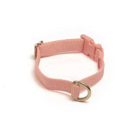 Standard Dog Collar W46326
