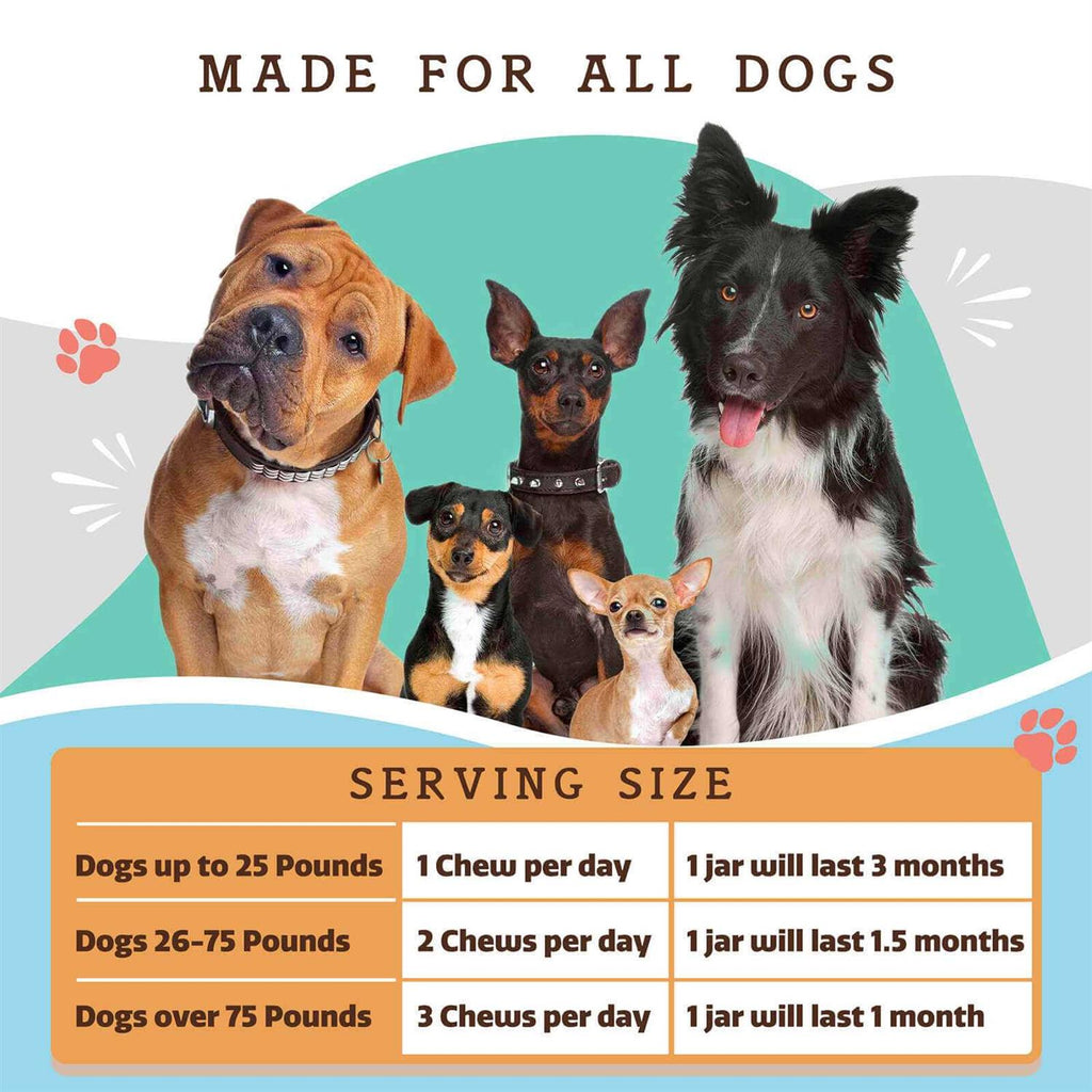 Multivitamin Pet Supplies R1627