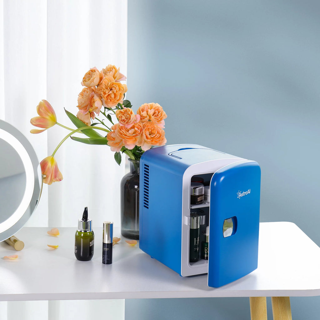 4L 6 Can Portable Electric Cooler Mini Fridge F27270