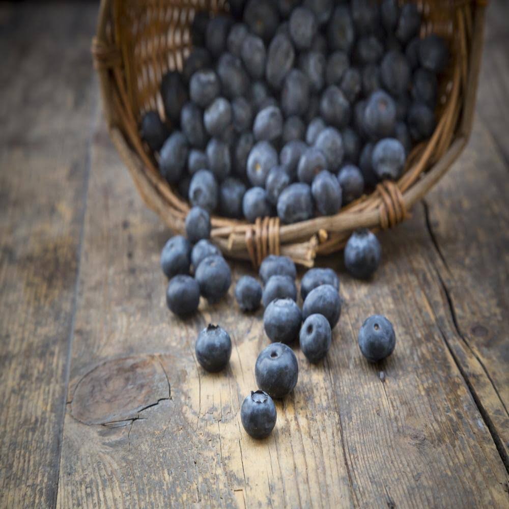 Freeze Dried Blueberries Case Pack N7545