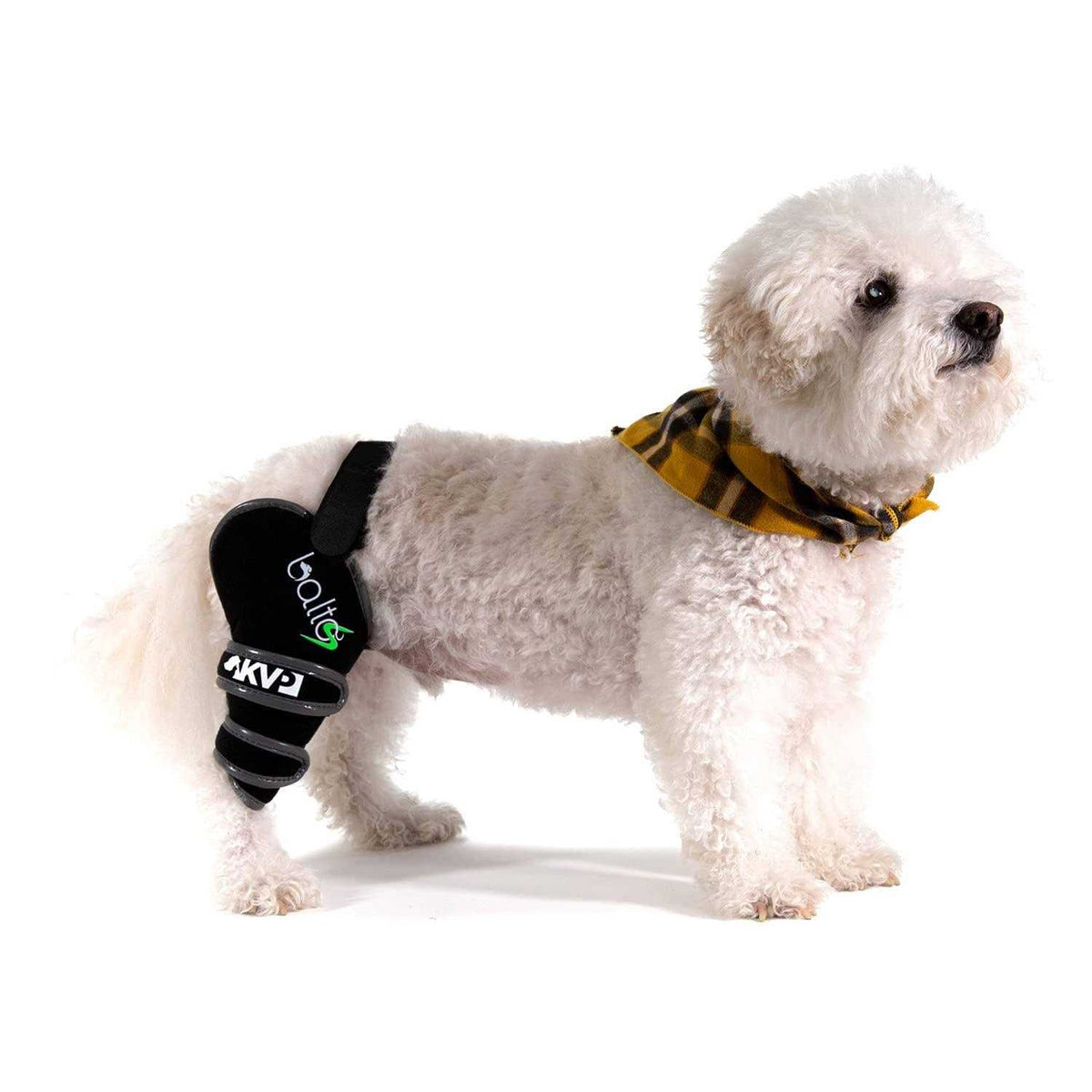 Knee Support for Dogs P5182