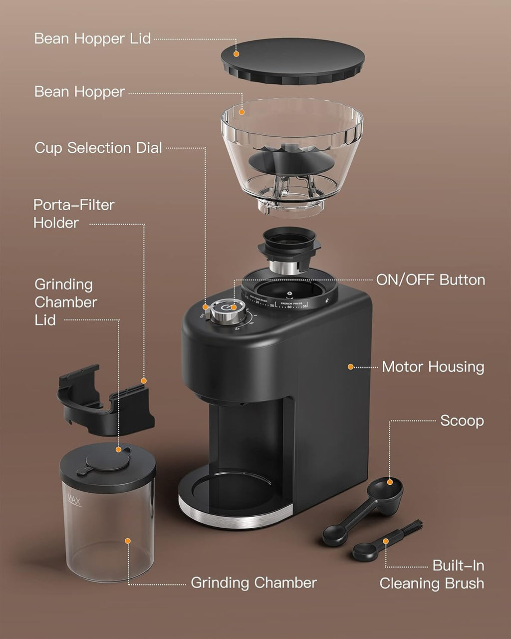 Electric Conical Burr Coffee Grinder with 35 Grind Settings X32731