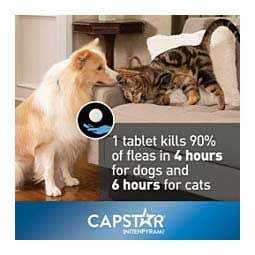 Flea Tablets for Dogs U503