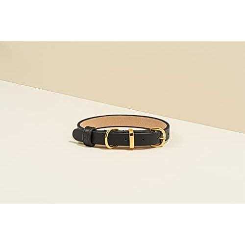 Genuine Leather & Microfiber Dog Collar O571