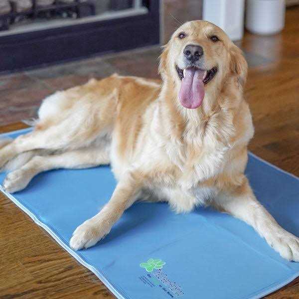 Cool Pet Pad F25448