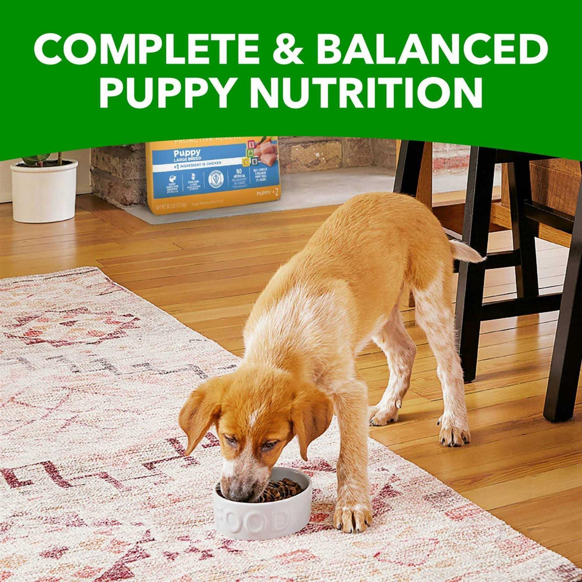 Large Breed Dry Dog Food W41360