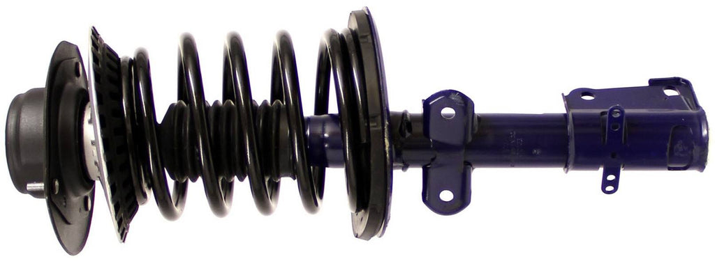 Suspension Strut and Coil Spring Assembly B11687