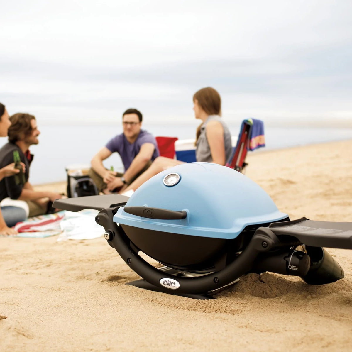 Portable Gas Grill F876779
