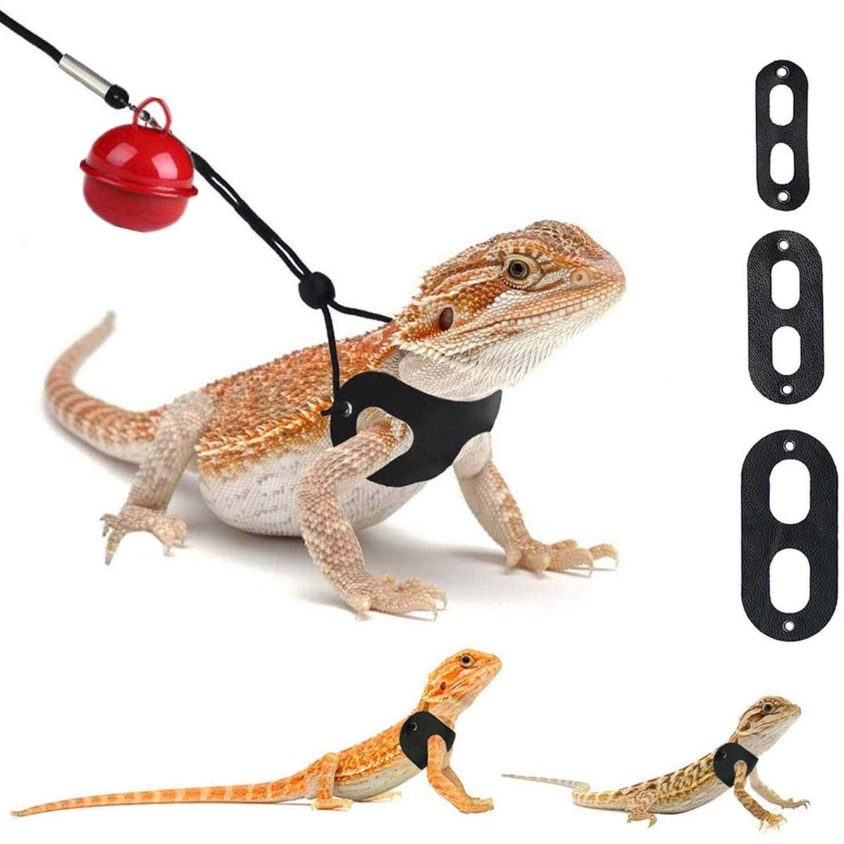 Adjustable Soft Leather Bearded Dragon Harness and Leash T2222