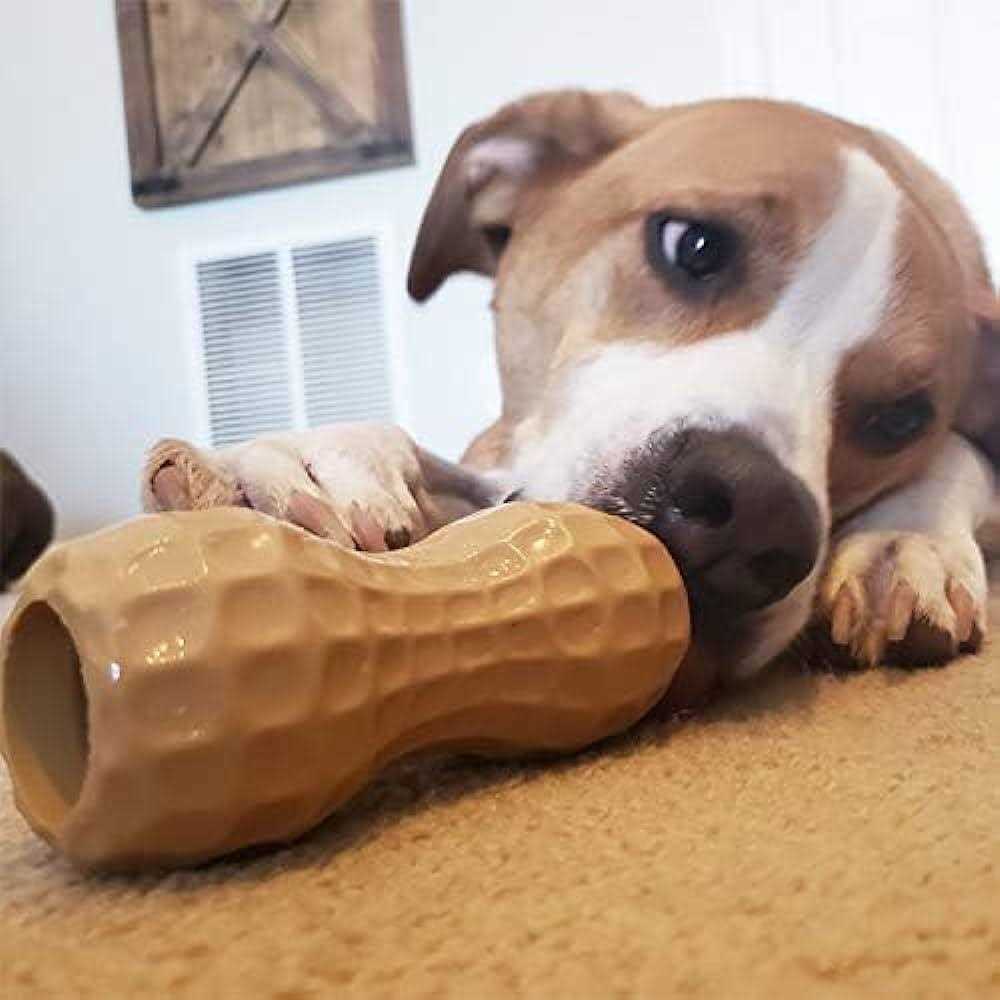 Peanut Butter Dog Toy O772723