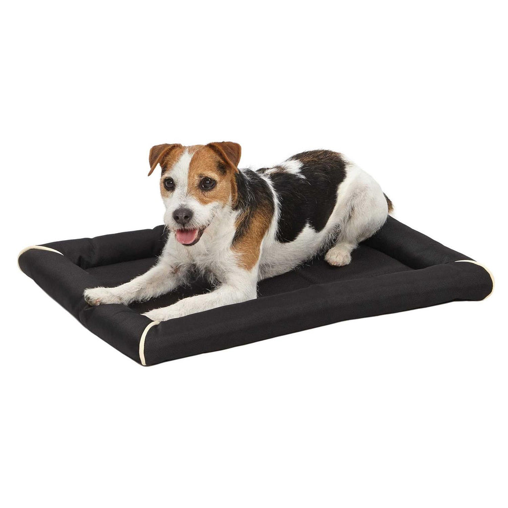 Quiet Time Maxx Pet Bed C1552