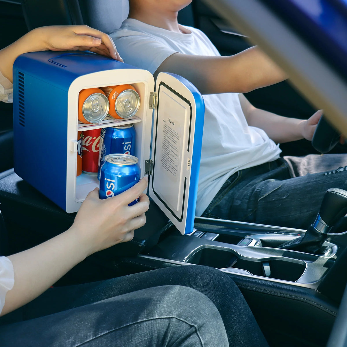4L 6 Can Portable Electric Cooler Mini Fridge F27270