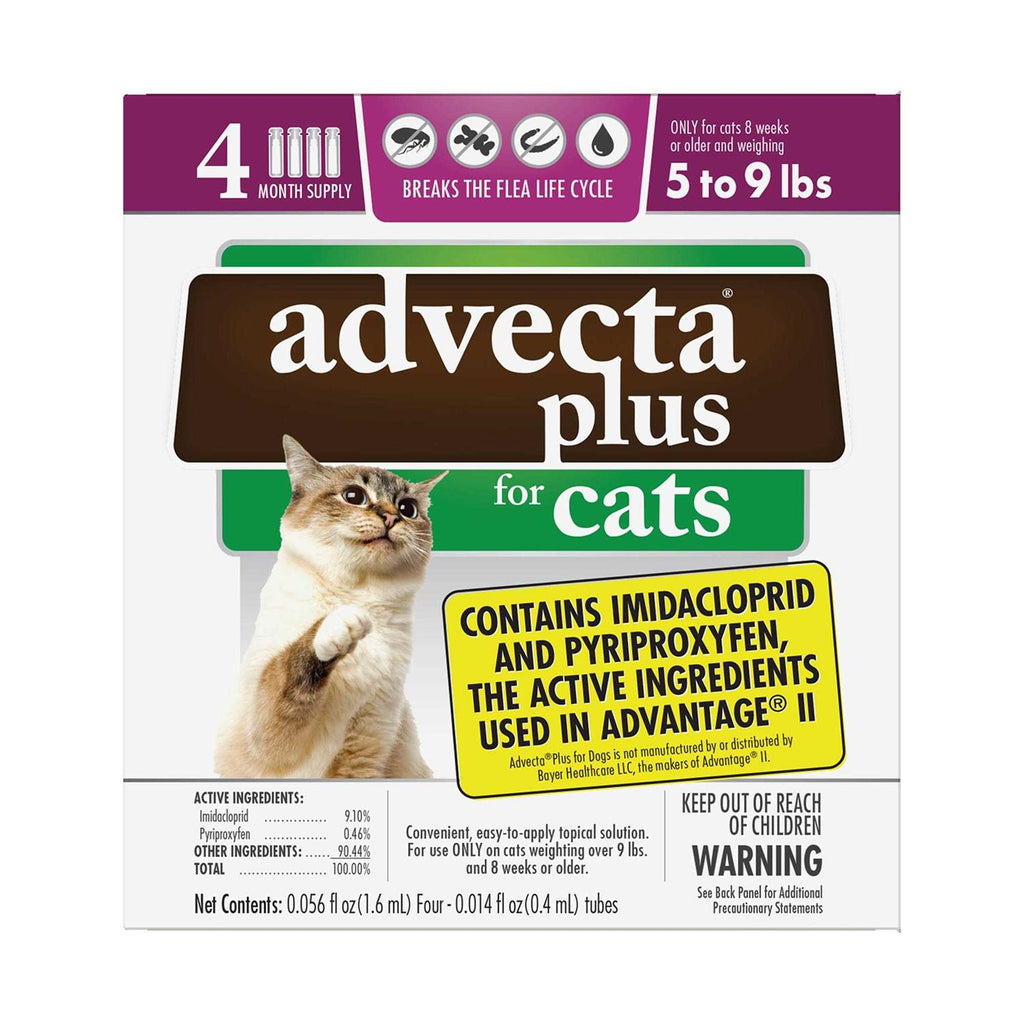 Flea Protection for Small Cats S178