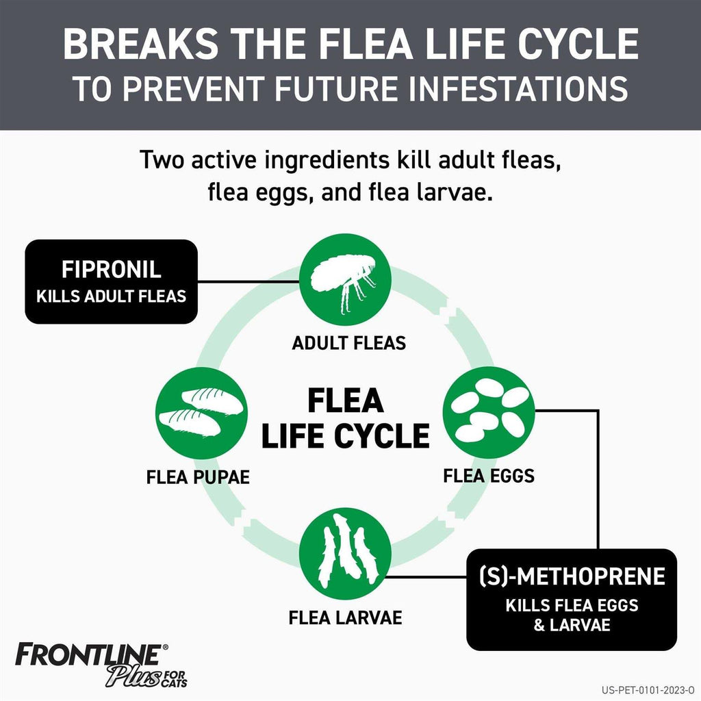Flea & Tick for Cats M512