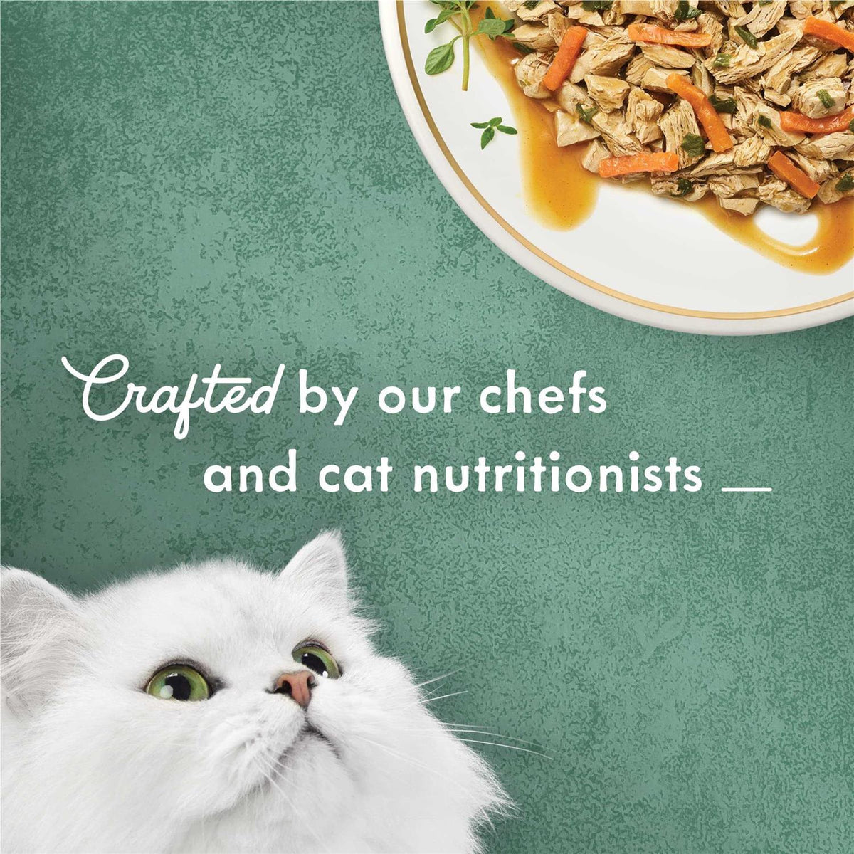 White Meat Chicken Recipe with Garden Veggies in Sauce Canned Cat Food W545929