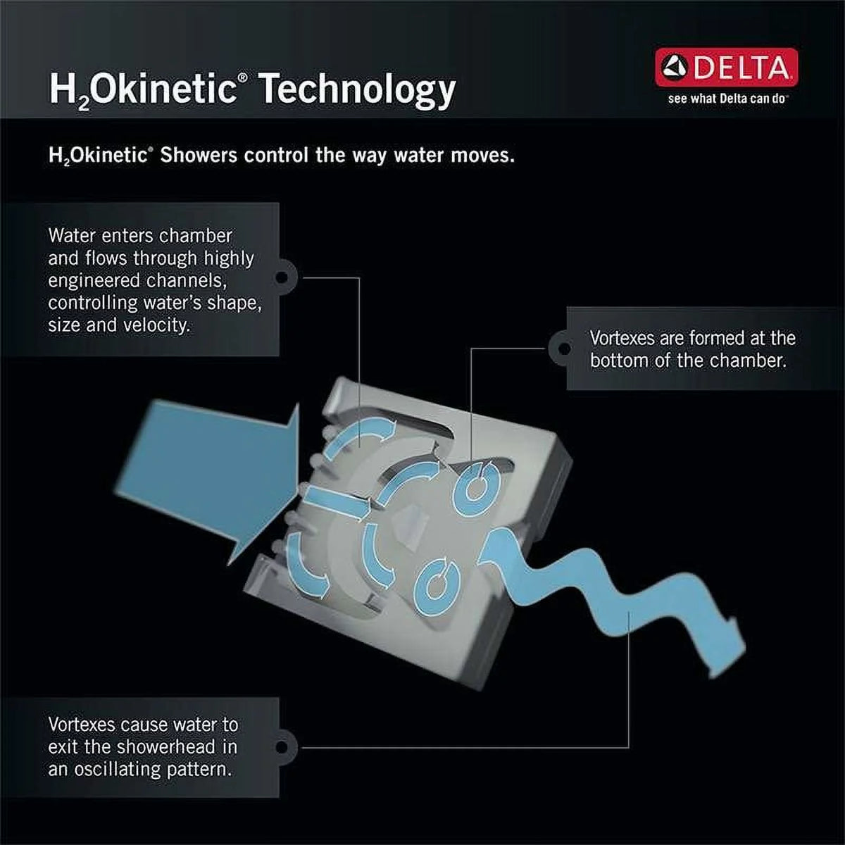 Hand Shower with Holder and Hose Q874148