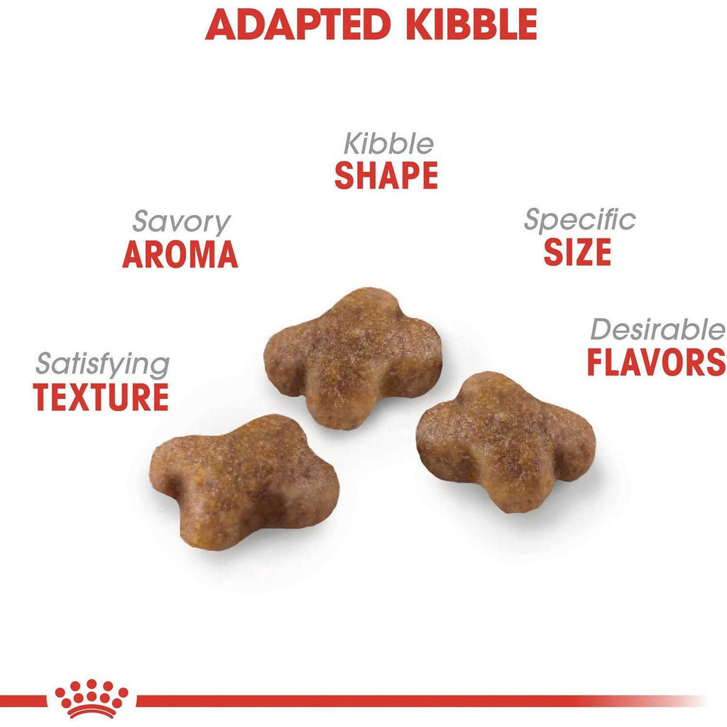 Kitten Dry Food Y365619