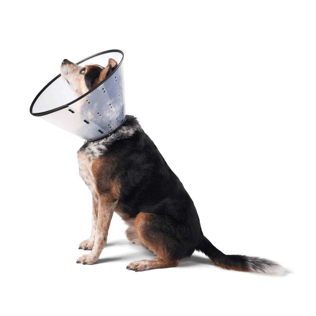 Dog E-Collar G631