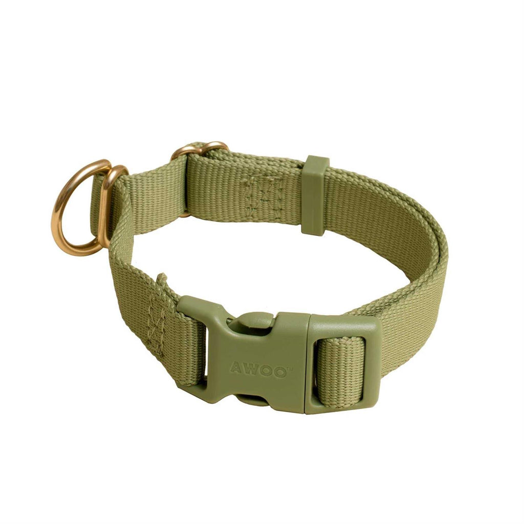 Standard Dog Collar W46326
