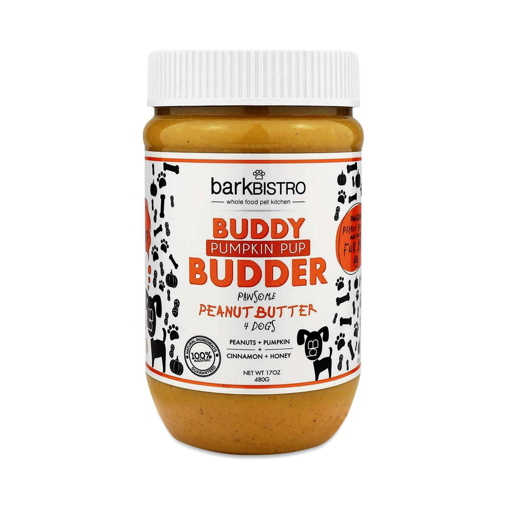 Pumpkin Pup Buddy Budder S6177