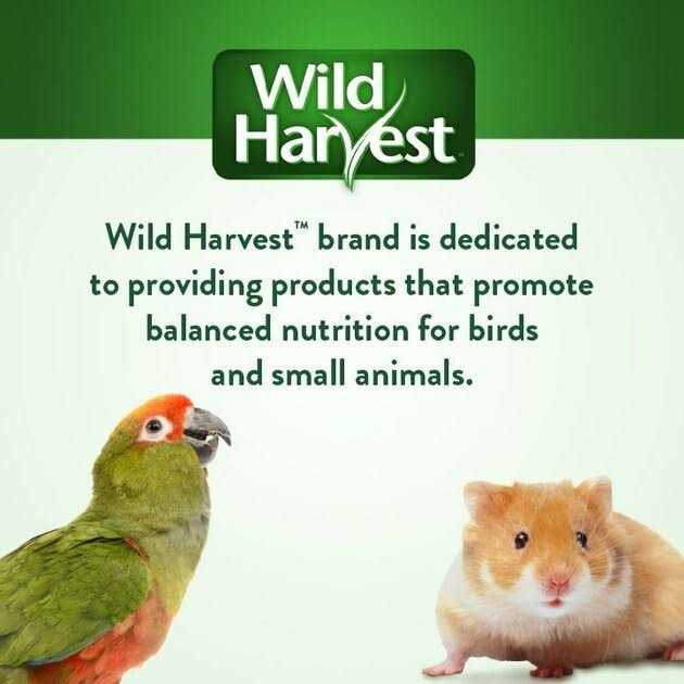 Sprout Blend Bird Treats D818