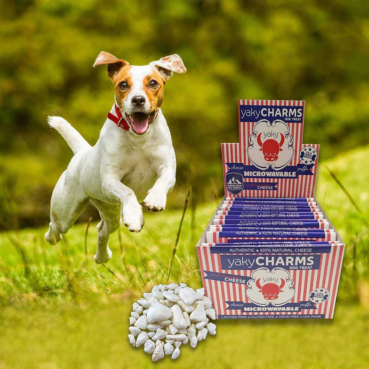 Pet Supplies G5980