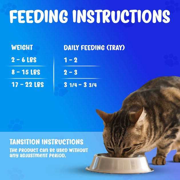 Wet Cat Food C594995
