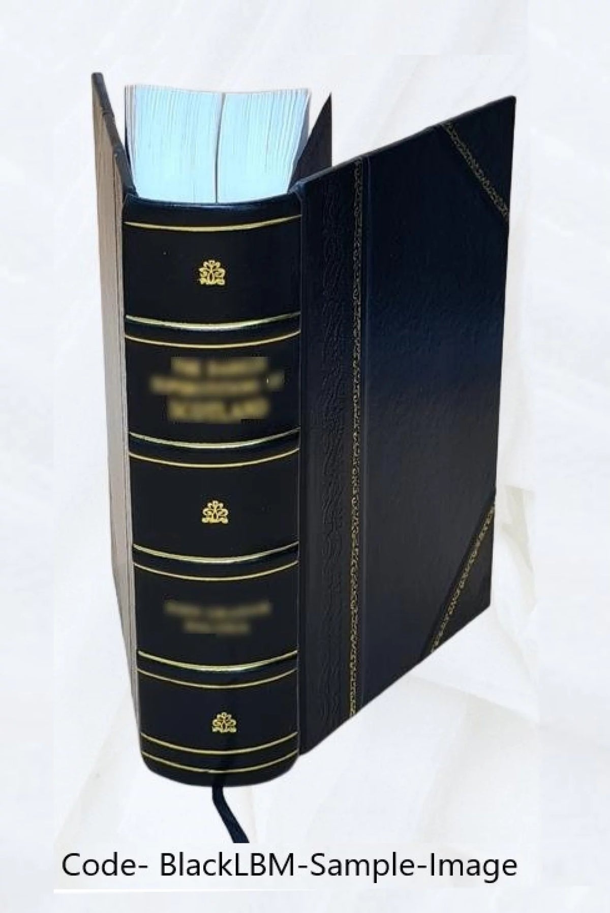 Leather Bound T4162