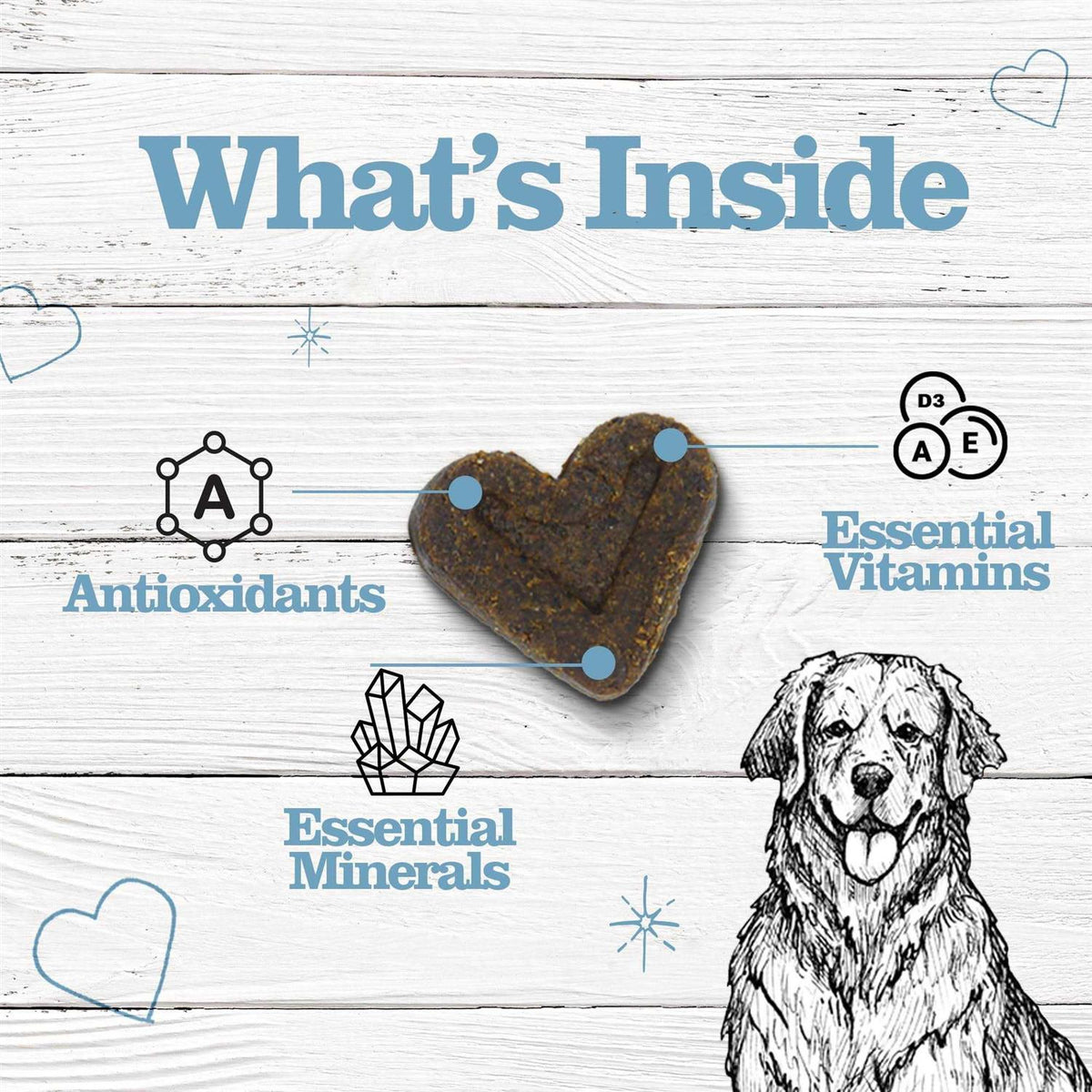 Chewable MultiVitamins for Dogs J908062