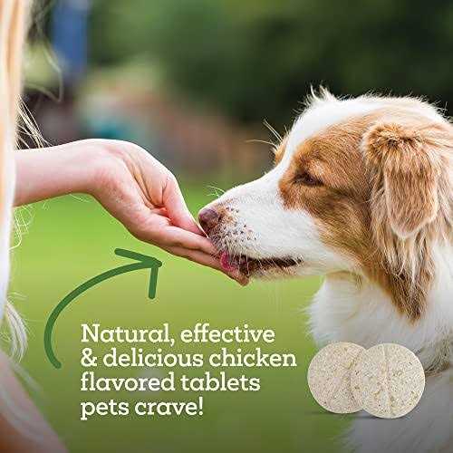 Oral Flea & Tick Chews for Dogs & Cats G8207