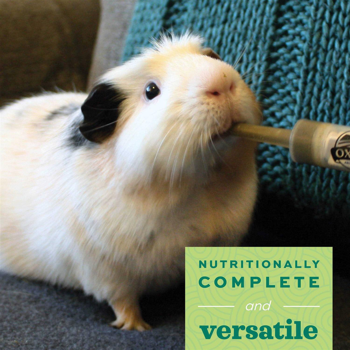 Young Guinea Pig Food F7221