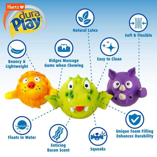 Dog Toy Y810605
