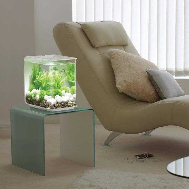 FLOW LED X598