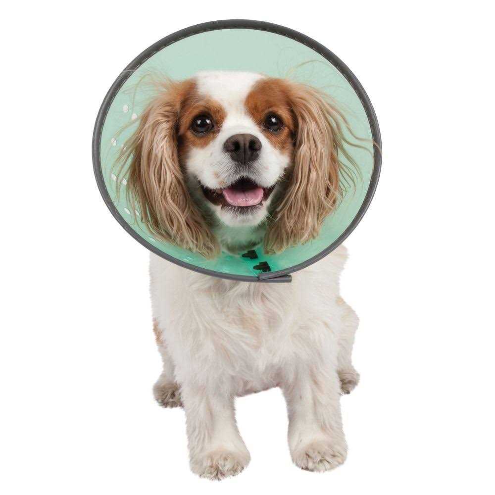 Dog E-Collar G631