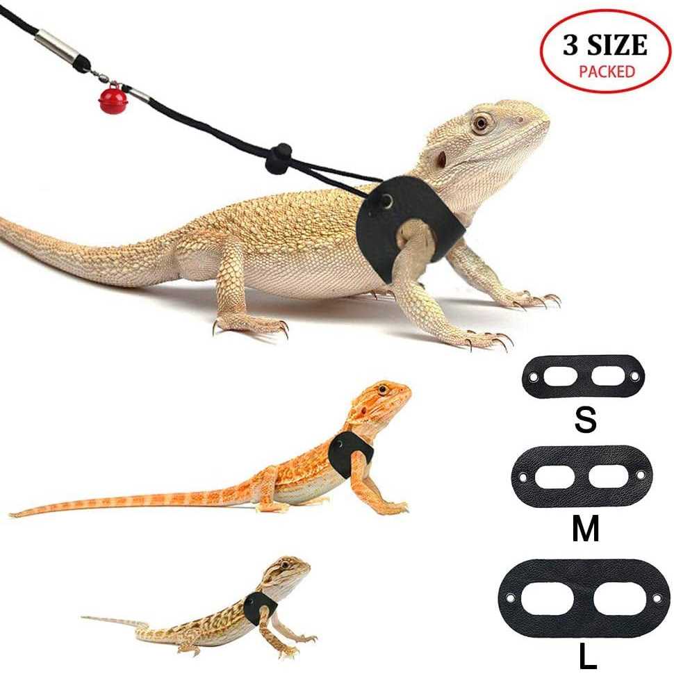 Adjustable Soft Leather Bearded Dragon Harness and Leash T2222