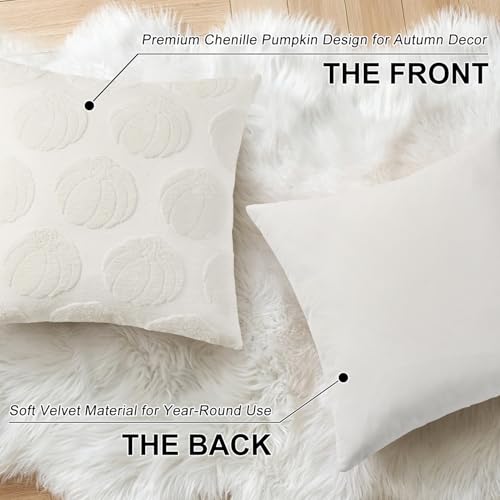 Christmas Chenille Soft Throw Pillow Covers 18x18 Set of 2 J779