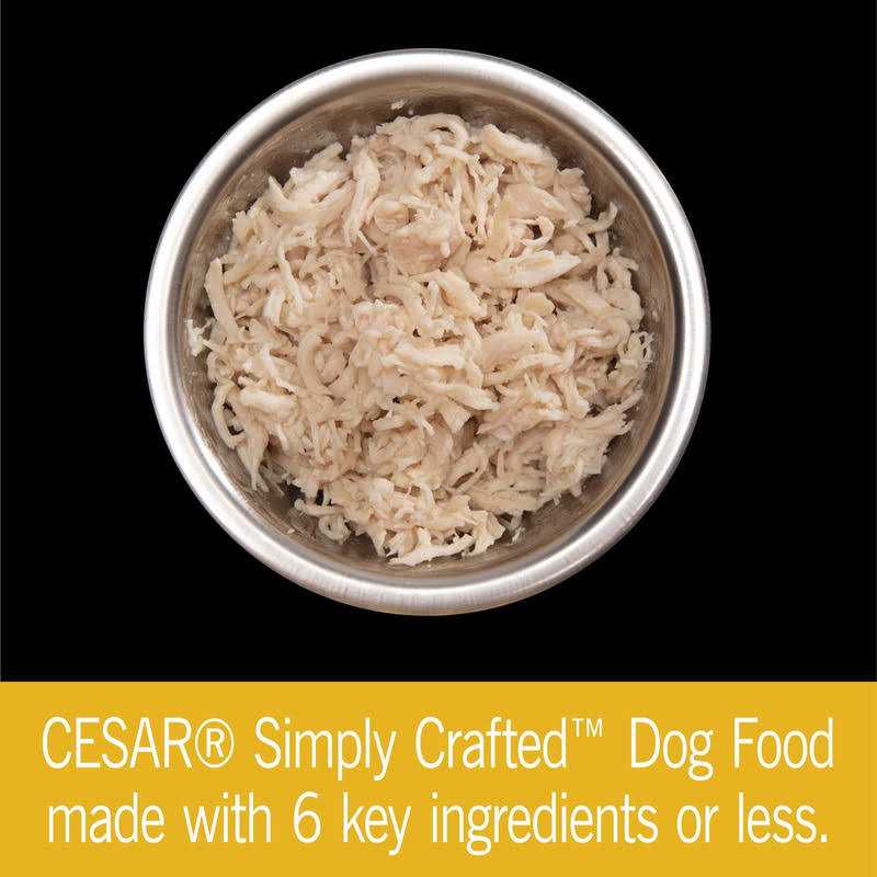 Chicken Wet Dog Food T544