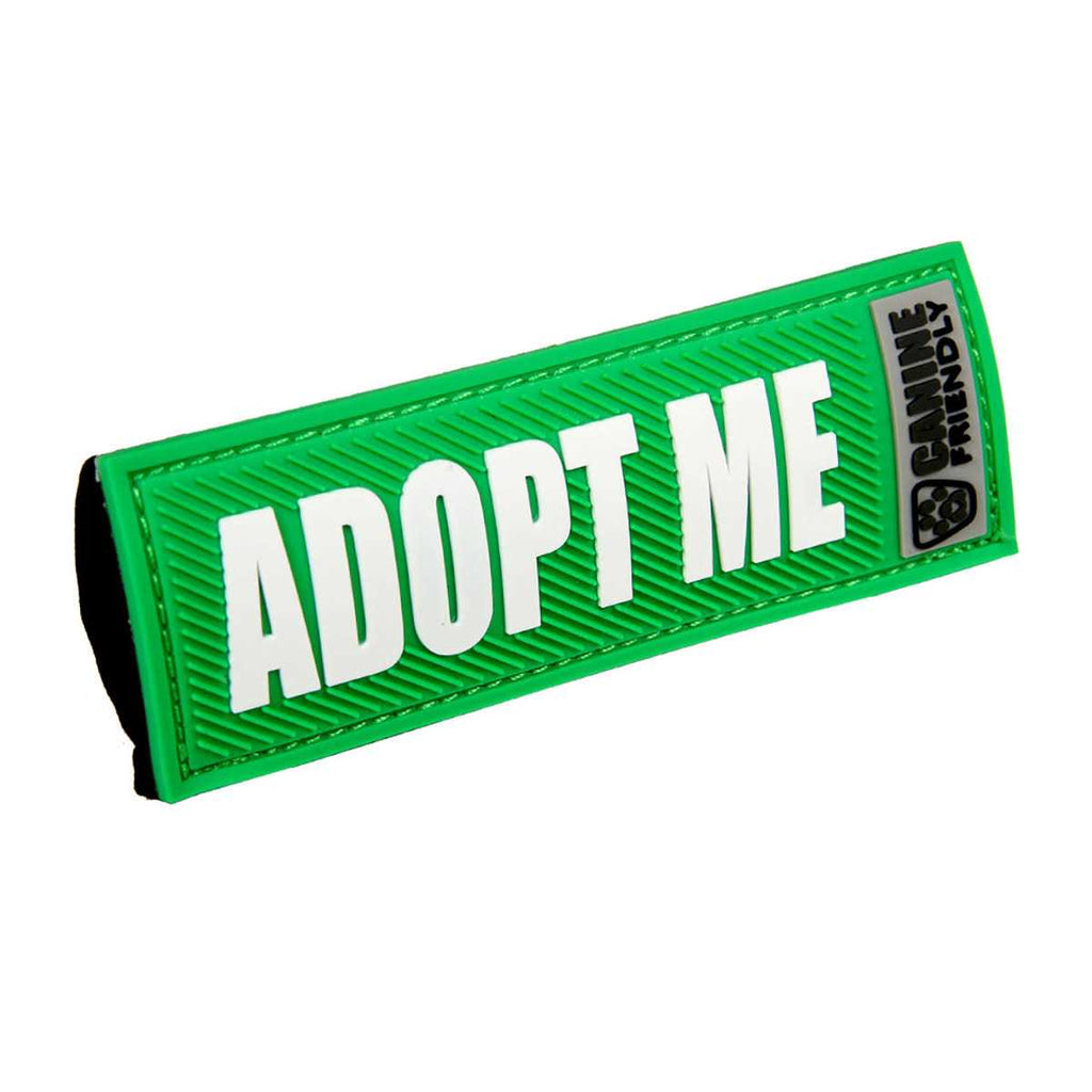 Dog Collar and Leash A3890