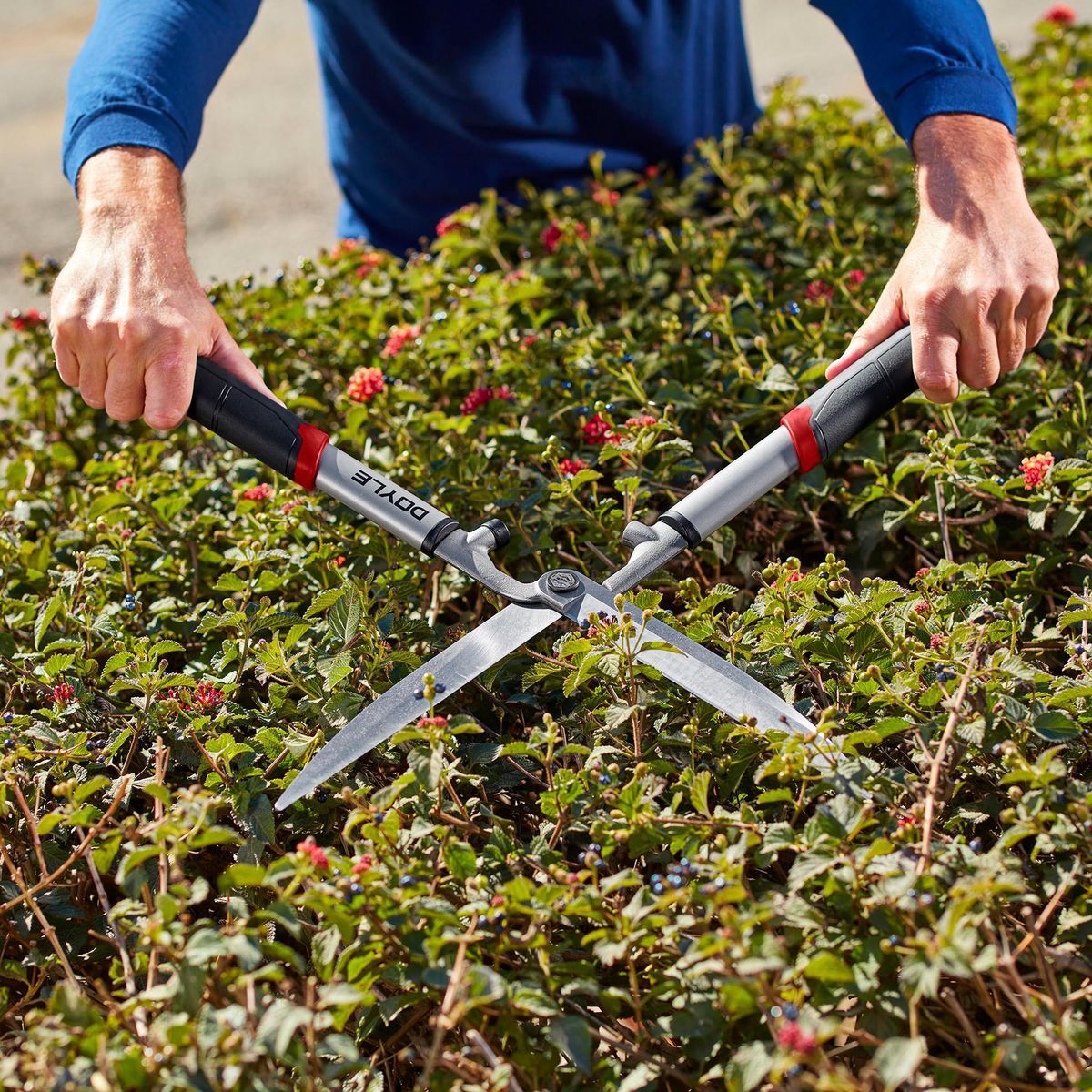 Forged Steel Hedge Shears T30008
