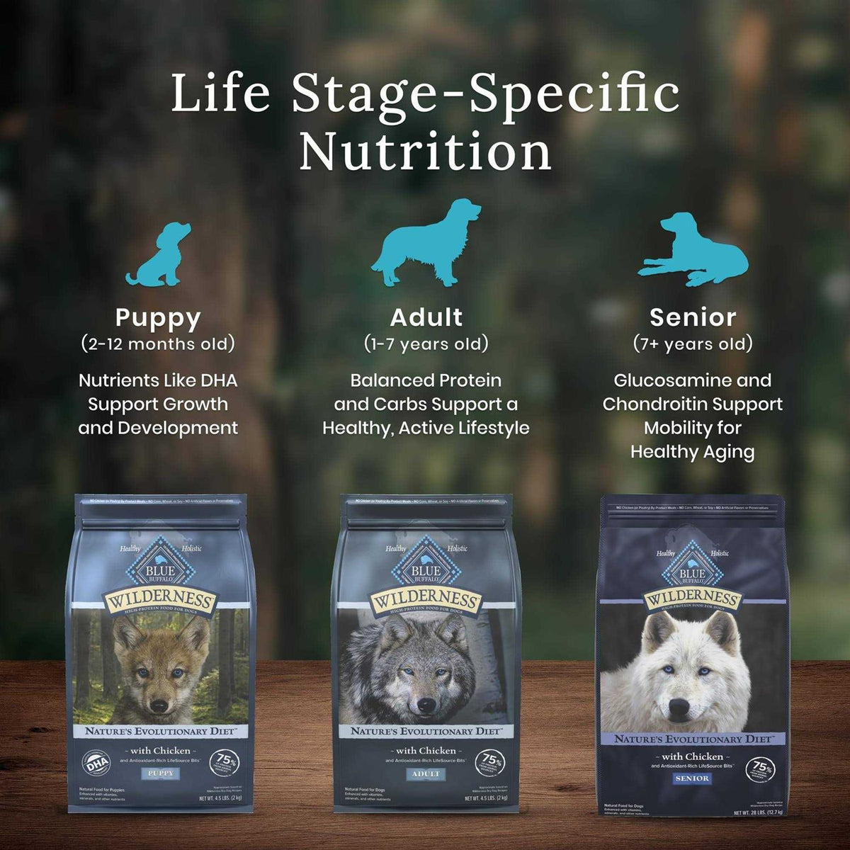 Chicken Senior Dry Dog Food N305797