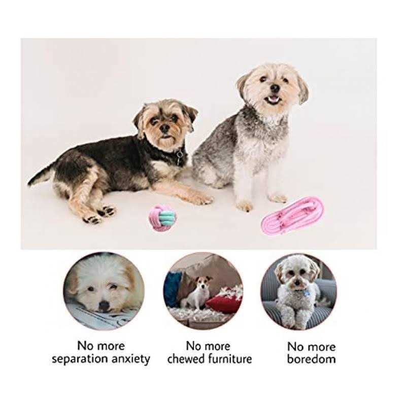 Dog Hanging Bungee Tug Toy U6593