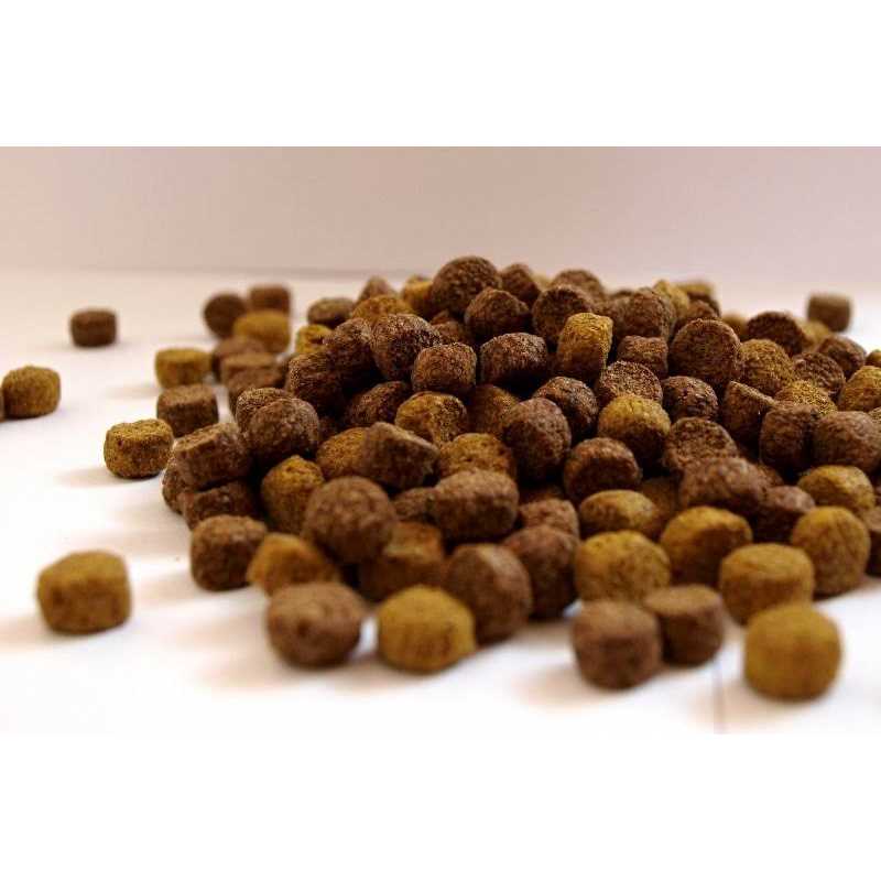 Grain Free Fish Meal Dog Food D63119