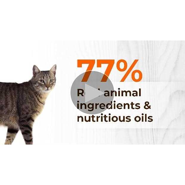 Grain Free Dry Cat Food E315385