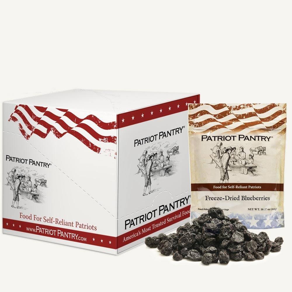 Freeze Dried Blueberries Case Pack N7545